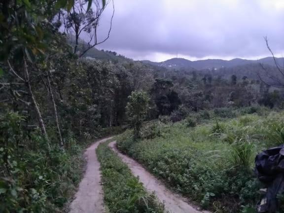 Tharayil Farm Stay Vagamon Exterior foto